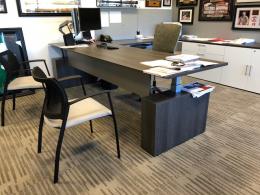 Sit to Stand Electric Executive Desks