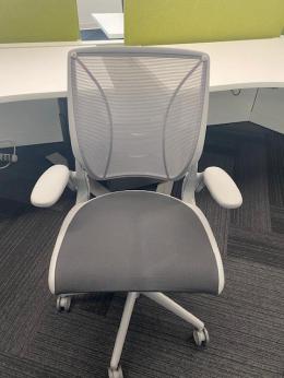 Humanscale Diffrient World Chairs